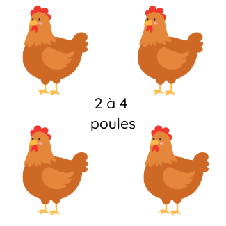 2_a_4_poules_1_